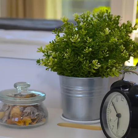 شقة Barry Primošten